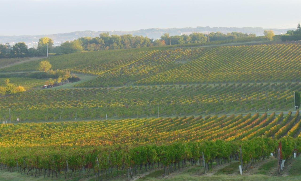 Romantic Gite Nr St Emilion With Private Pool And Views To Die For Pujols  外观 照片