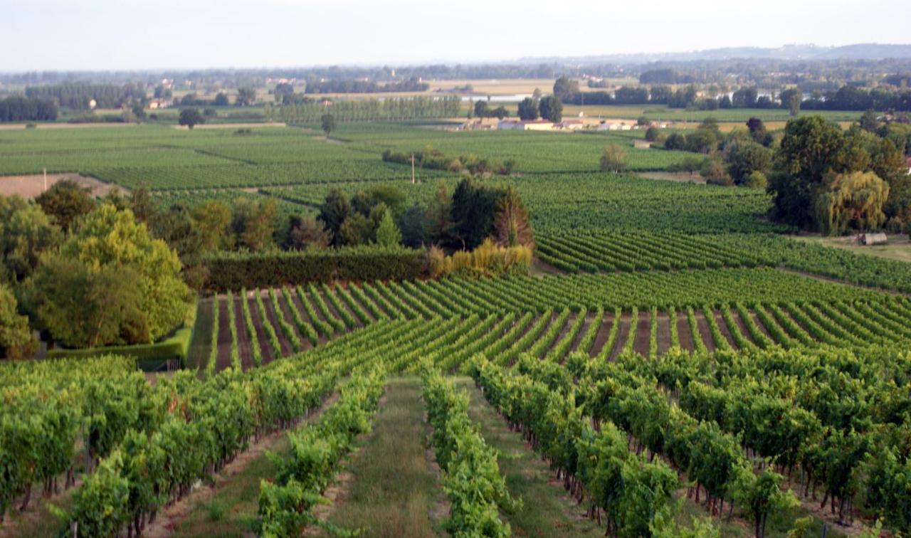 Romantic Gite Nr St Emilion With Private Pool And Views To Die For Pujols  外观 照片